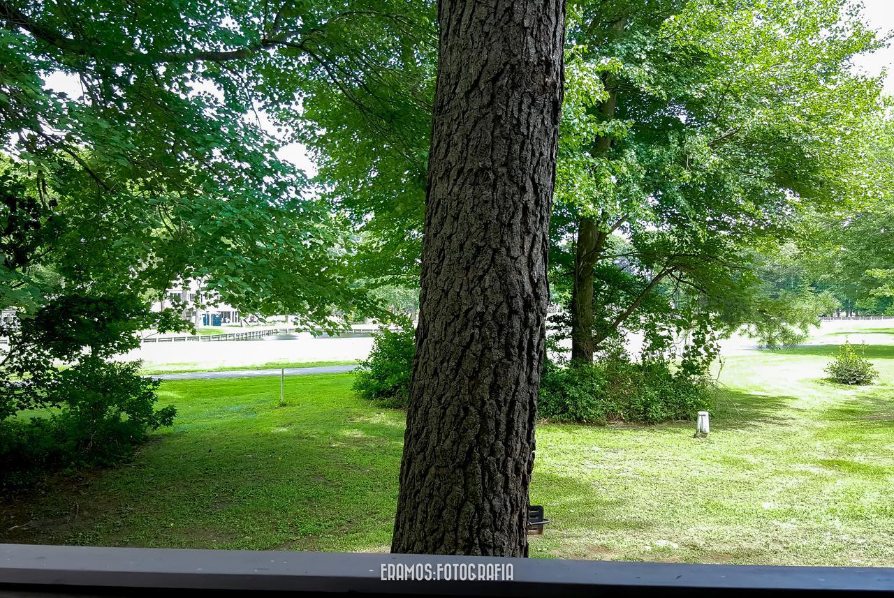 Villas Of Ocean Pines Ocean City Екстер'єр фото